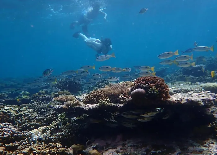 Pasir Putih - Menjangan Lodge *