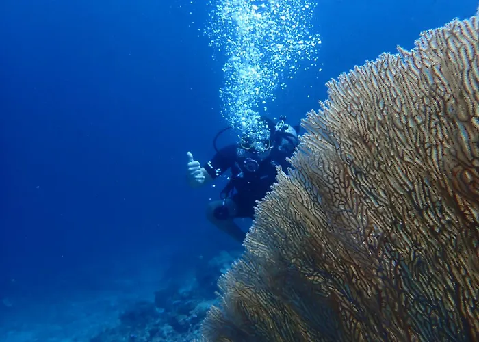 Pasir Putih - Menjangan